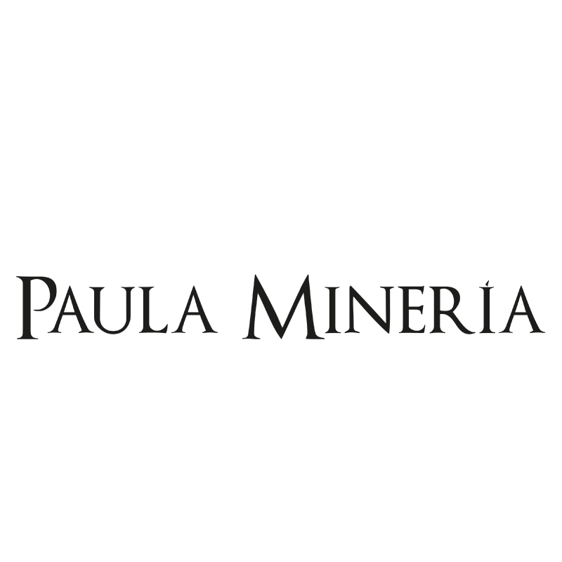 Paula Minería